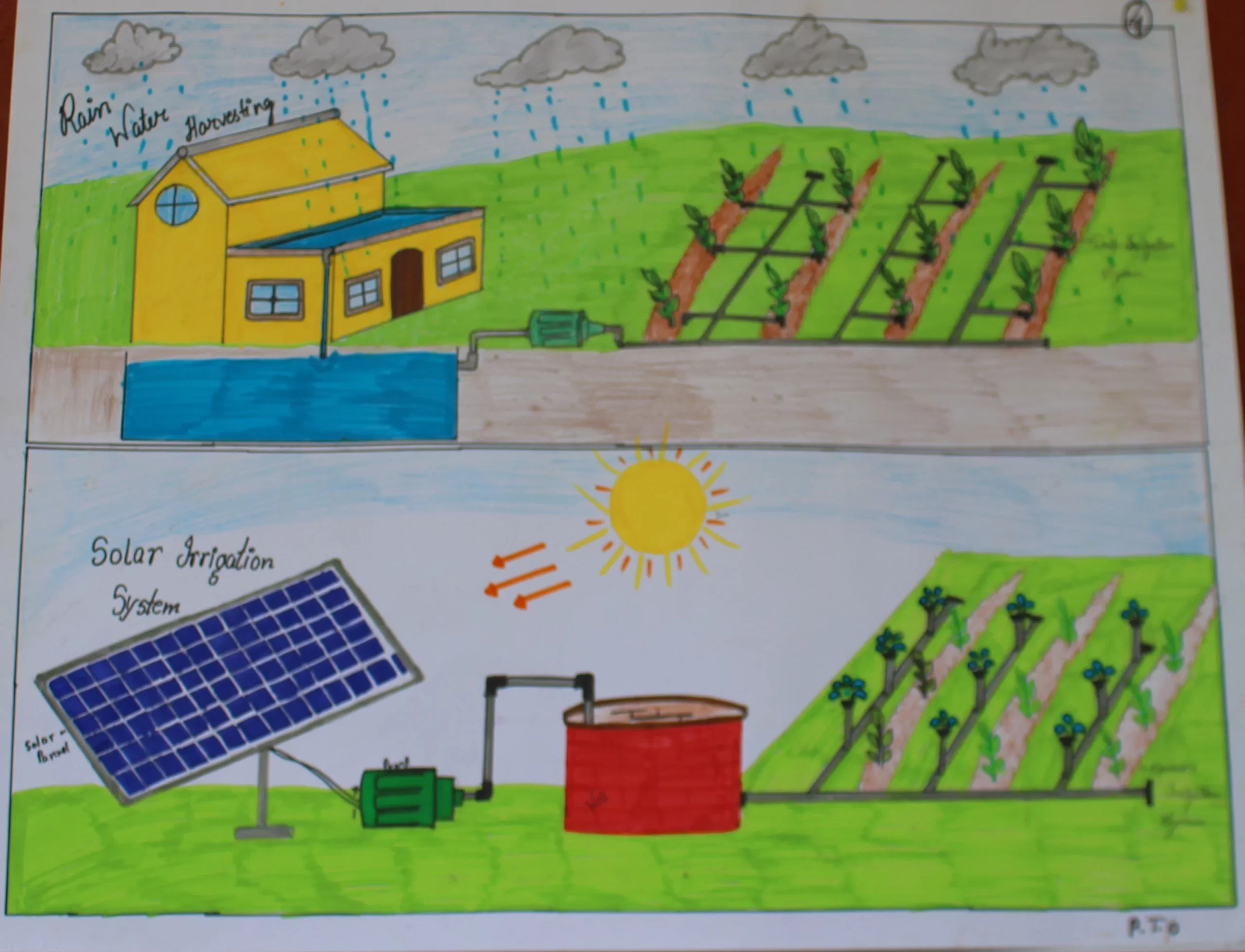 Mahima 9 Nehru Senior Secondary School Sirsa, Haryana
