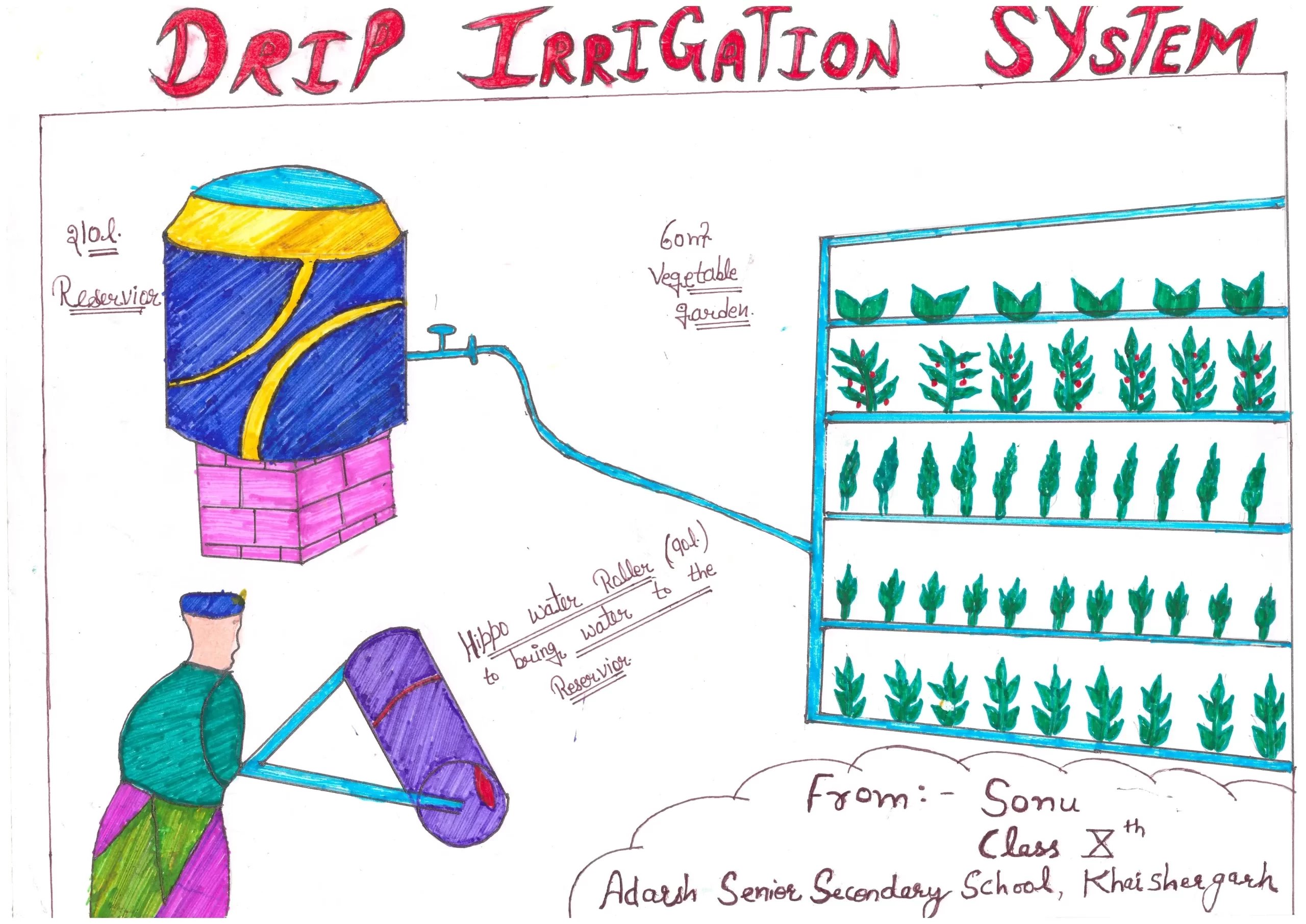 Poster on Drip Irrigation_Sonu-10th-Adarsh-Senior-Secondary-School-khai Shergar-sirsa-haryana