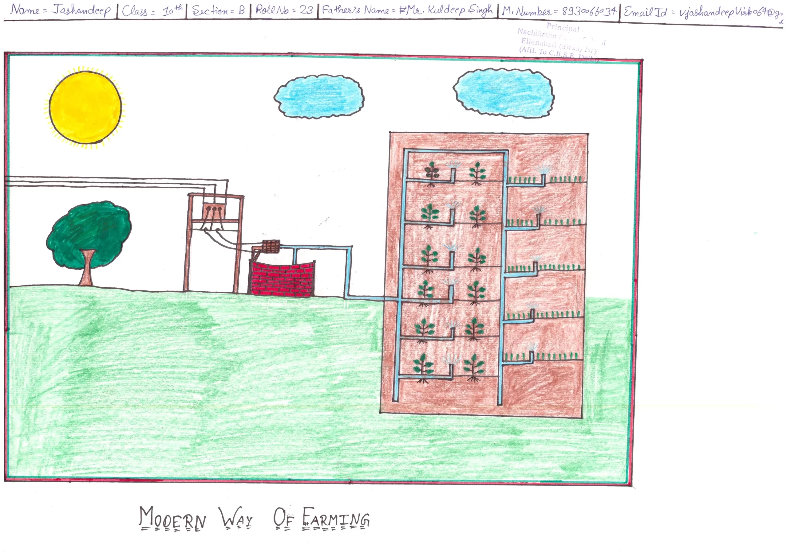 JASHANDEEP 10TH NACHIKETAN PUBLIC SCHOOL Mameran By-pass, ELLENABAD Sirsa, Haryana