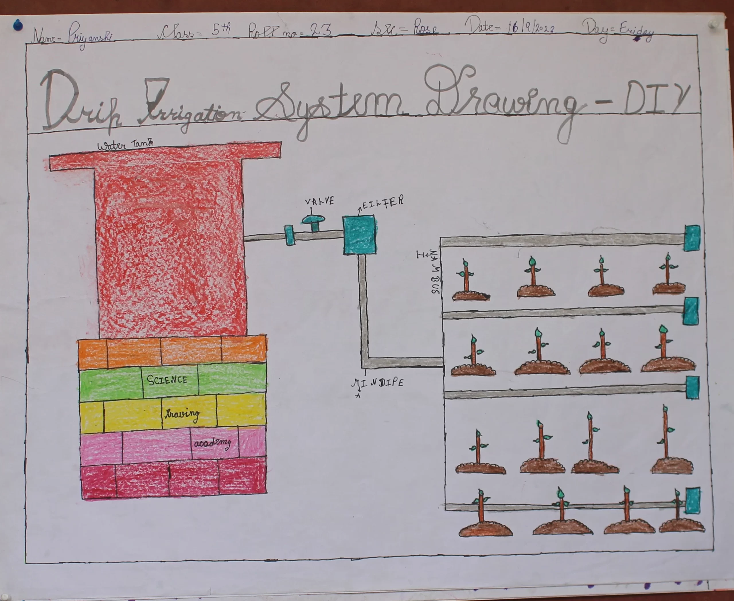Priyanshi 5th Swami Nitanand Global Residential School Village - Barhana, Distt. Jhajjar, Jhajjar, India, Haryana
