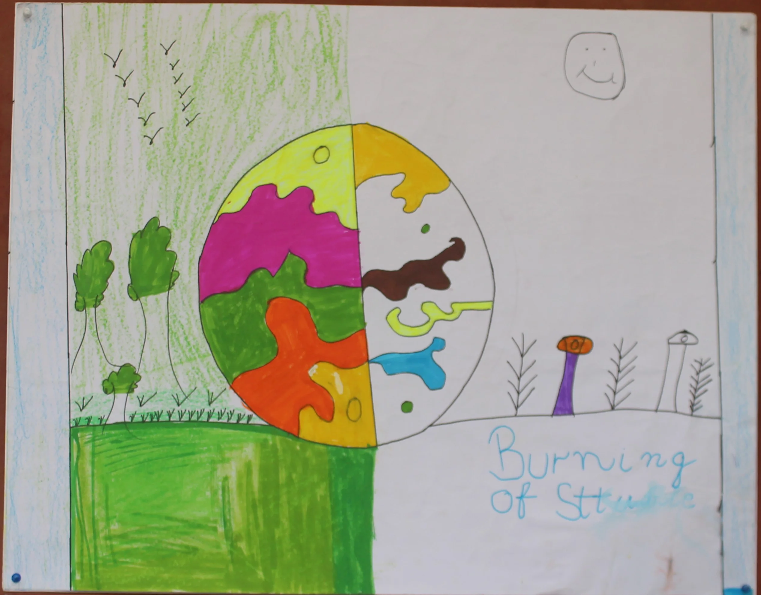 Gaurav 7th Swami Nitanand Global Residential School Village - Barhana, Distt. Jhajjar, Jhajjar, India, Haryana