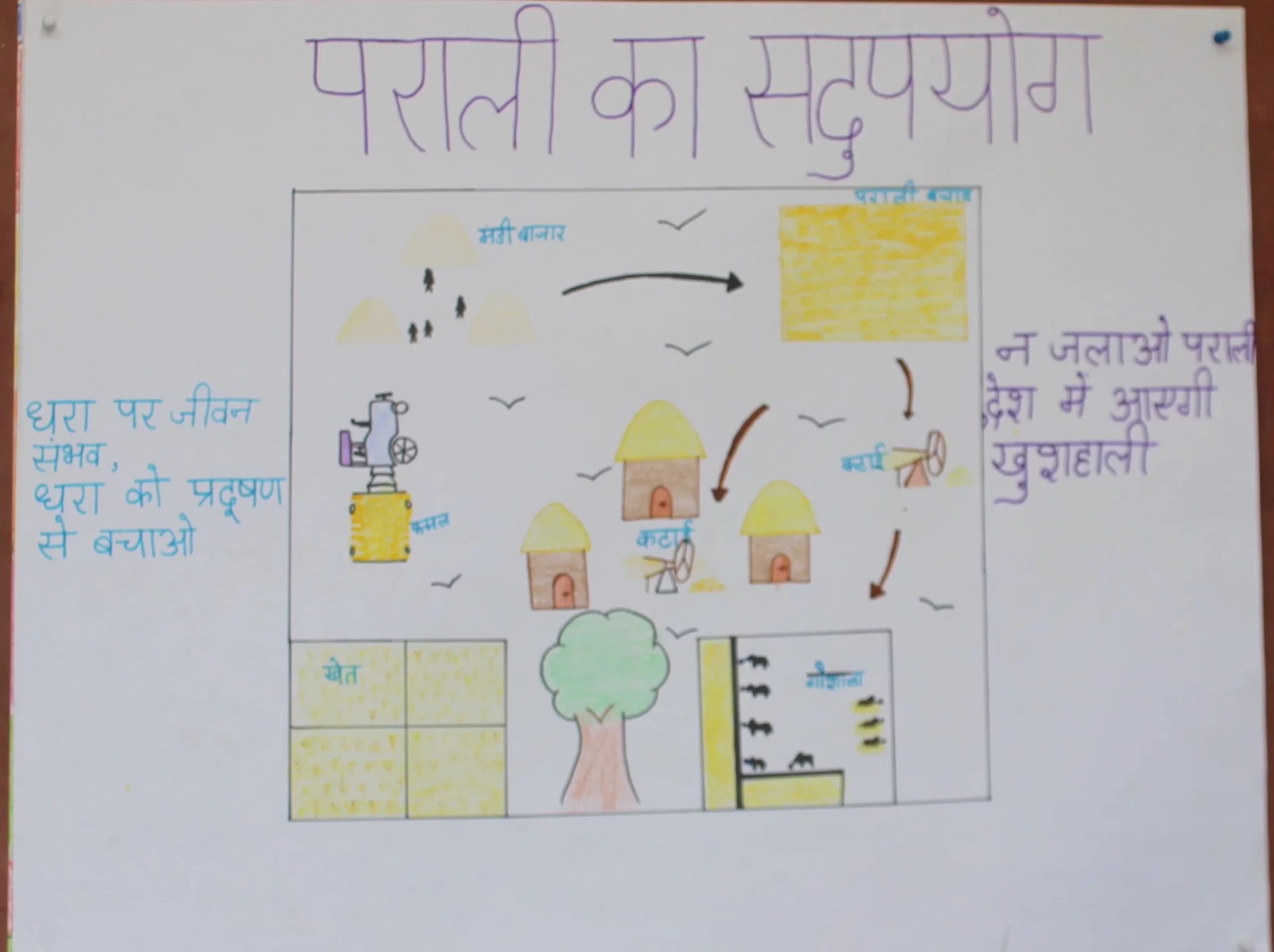 Nikita 10th Swami Nitanand Global Residential School Village - Barhana, Distt. Jhajjar, Jhajjar, India, Haryana