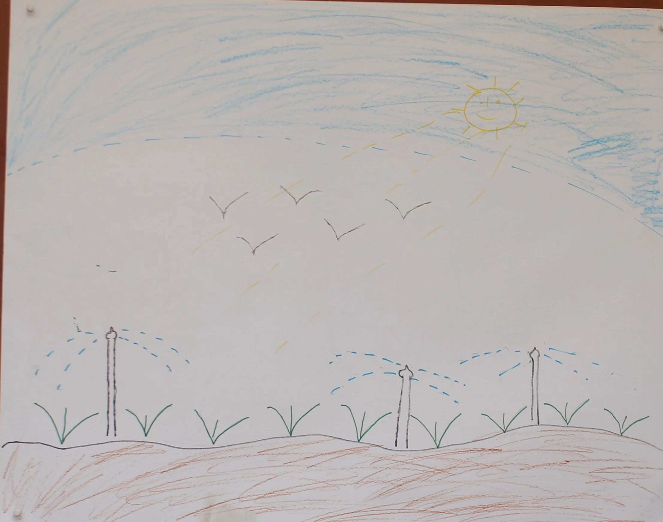 Sunny 12th Swami Nitanand Global Residential School Village - Barhana, Distt. Jhajjar, Jhajjar, India, Haryana