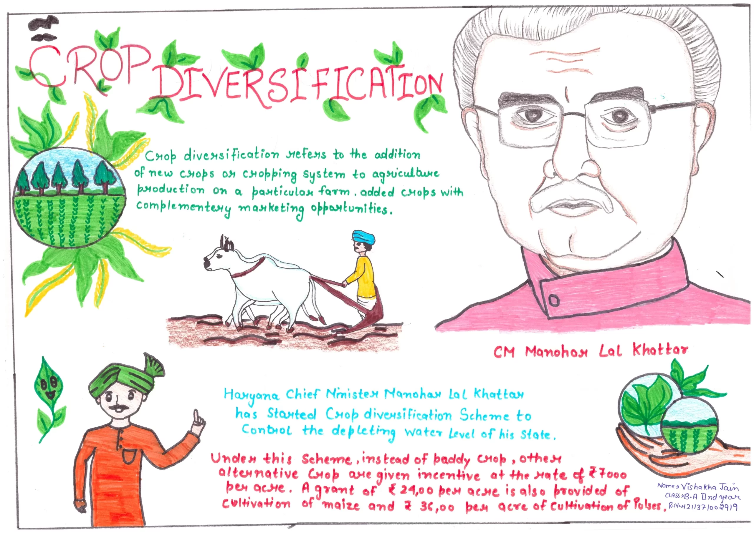 Vishakha B.A 2nd year Government national college sirsa NH9, opp. Bus Stand, DC Colony, Sirsa, Haryana