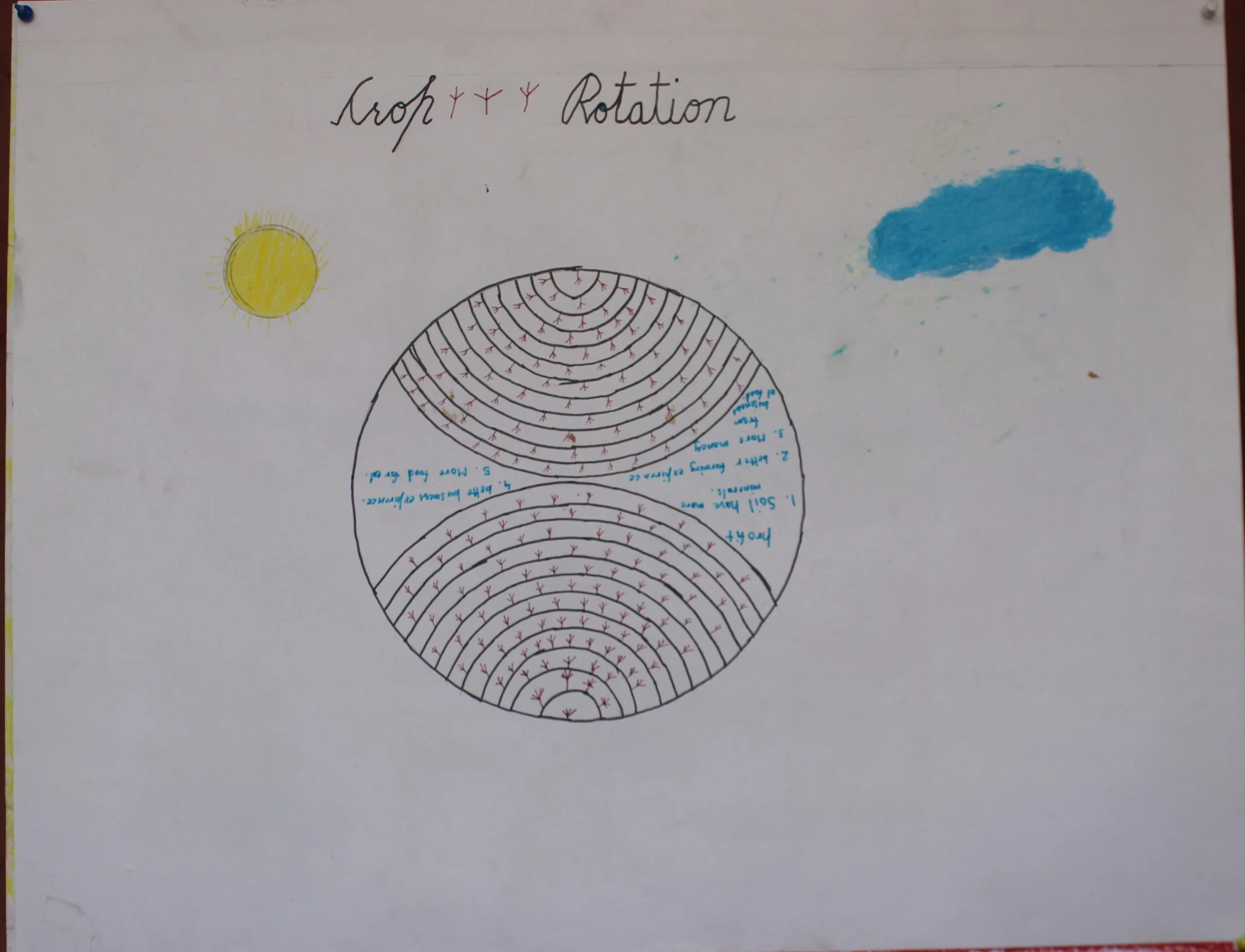Maneet_6th_Swami Nityanand Global Residential School Village - Barhana, Distt. Jhajjar, Jhajjar, India, Haryana