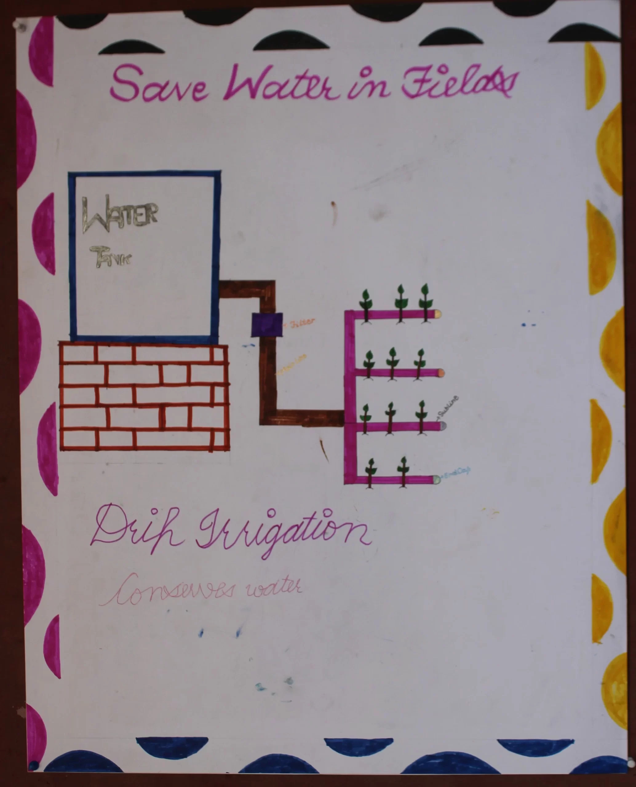 Sakshi_parveen_6th_Swami Nityanand Global Residential School Village - Barhana, Distt. Jhajjar, Jhajjar, India, Haryana